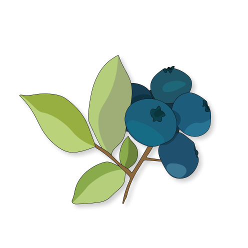 Producteur de vin en fût