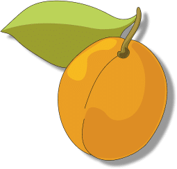 Producteur de vin blanc en fût pour les pros