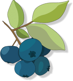 Producteur de vin rouge en fût pour les pros