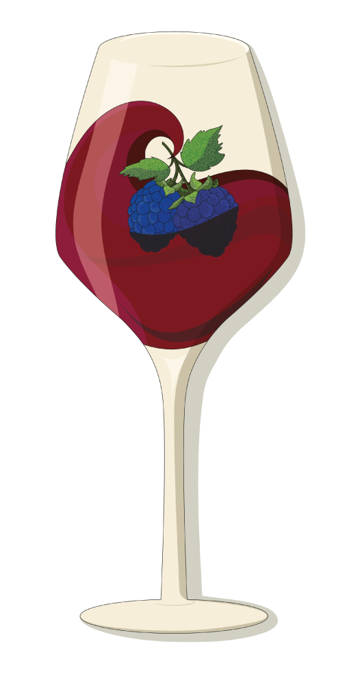 Vin Cabernet Sauvignon VDF