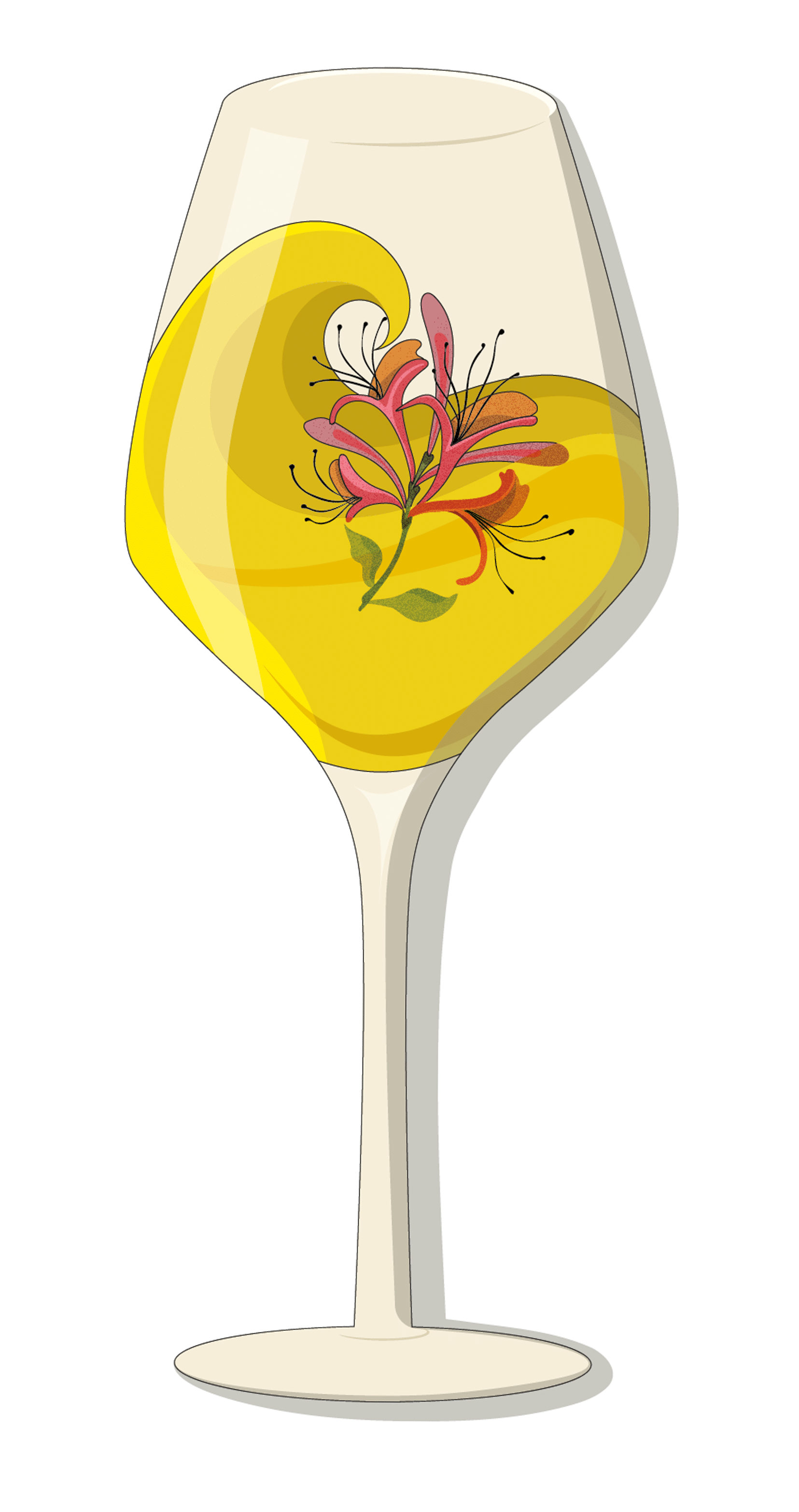 Vin Côtes-du-Rhône Blanc IGP