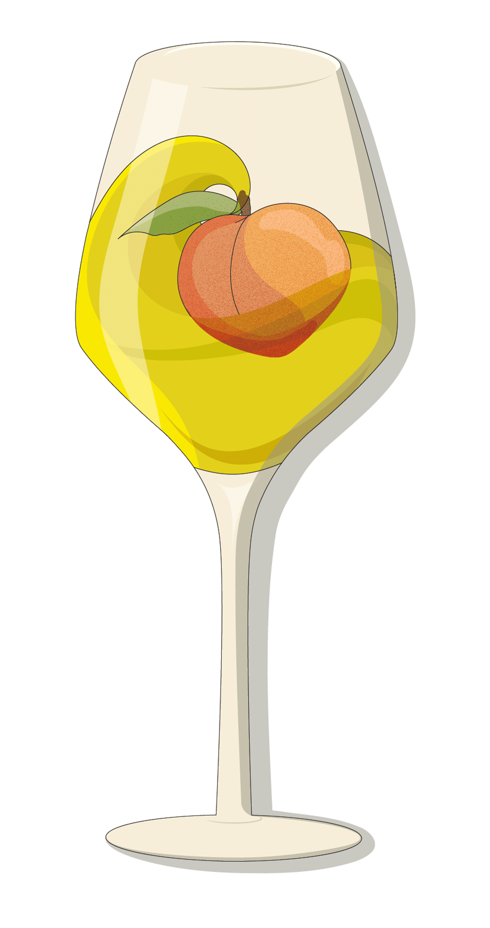 Vin Languedoc Blanc IGP